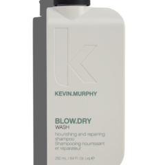 BLOW.DRY.WASH